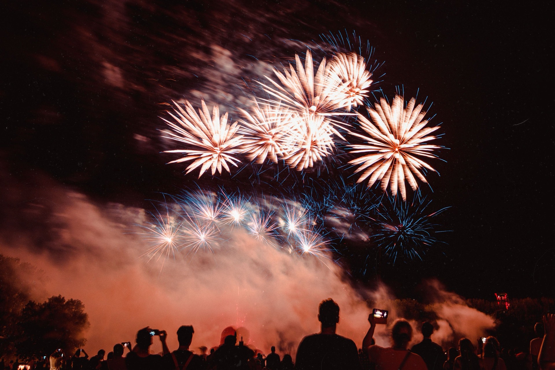 A crowd watching a fireworks display at night